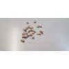 03003 - Mosaico white - Pet shop Petsite.gr - Domus kits