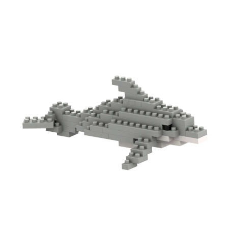 Dolphin