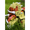 OB-WS0451 - Triceratops - Pet shop Petsite.gr - Open Brick Source