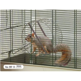 ΡΟΔΑ ΜΕΤΑΛΛΙΚΗ RAS 20F ΜΕ ΣΤΑΝΤ