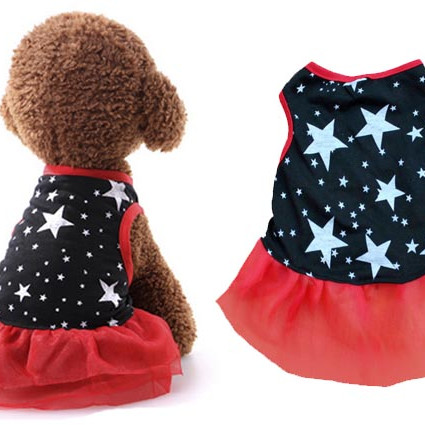 ΦΟΡΕΜΑΤΑΚΙ ΣΚΥΛΟΥ STARS SM 25cm