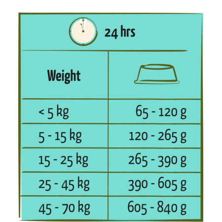 HAPPY LIFE ADULT SALMON 12.5kg