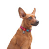 31463 - ΚΟΛΛΑΡΟ WATERMELON SM 15mm*25-35cm PLASTIC FASTEX - Pet shop Petsite.gr - Collar