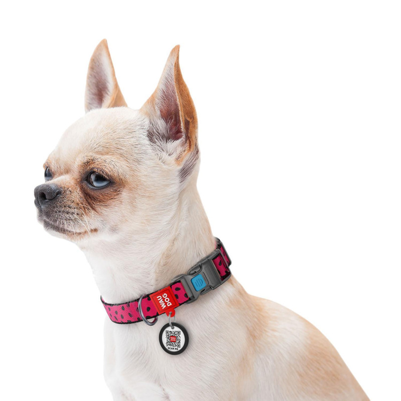 31466 - DOG COLLAR WATERMELON XL 25mm*37-58cm PLASTIC FASTEX - Pet shop Petsite.gr - Collar