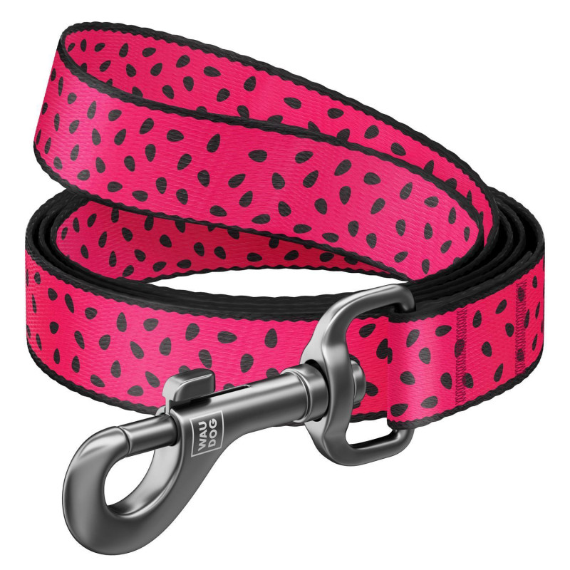 31469 - ΟΔΗΓΟΣ WATERMELON MD 20mm*122cm WAUDOG - Pet shop Petsite.gr - Collar