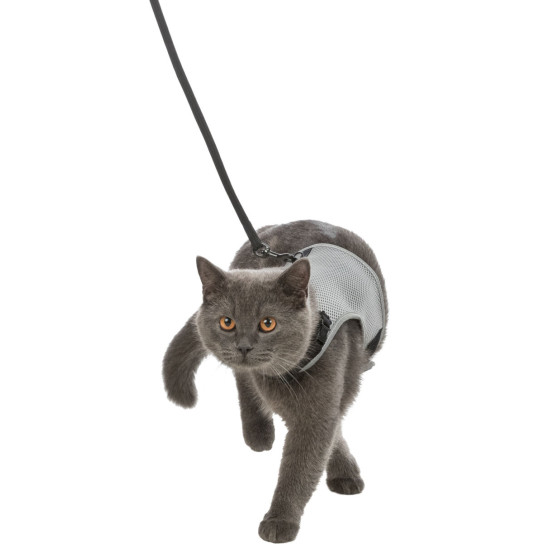 41897 - SET SOFT CAT HARNESS 28-42cm & LEASH 120cm TRIXIE - Pet shop Petsite.gr - Trixie