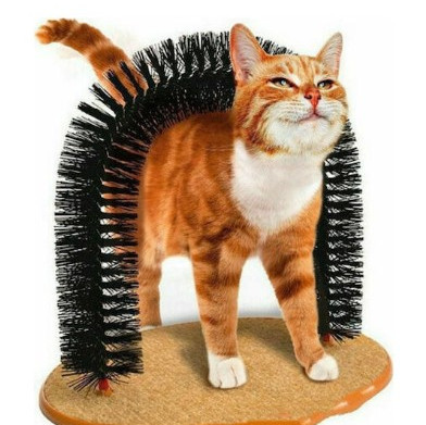 ΞΥΣΤΡΑ ΓΑΤΑΣ PURFECT ARCH 36*28*33cm
