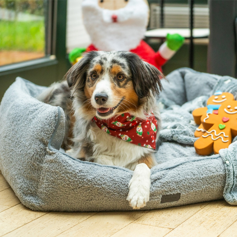 51885 - ΠΕΡΙΛΑΙΜΙΟ ΜΕ ΜΠΑΝΤΑΝΑ MEDIUM 42cm*20mm NOBBY+Xmas - Pet shop Petsite.gr - Nobby