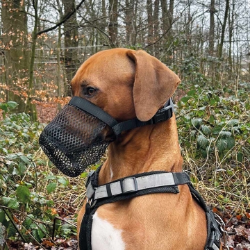 PROTECTIVE NET-ANTIPOISON L 32cm NOBBY