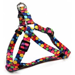 ΣΑΜΑΡΑΚΙ ΡΥΘΜΙΖΟΜΕΝΟ RAINBOW XS