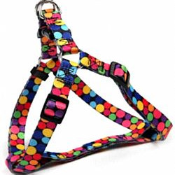 ΣΑΜΑΡΑΚΙ ΡΥΘΜΙΖΟΜΕΝΟ RAINBOW XS