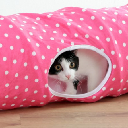 ΤΟΥΝΕΛ ΓΑΤΑΣ ΡΟΖ ΠΟΥΑ 100cm Φ25cm KERBL