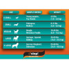 96321 - DIAPERS FOR MALE DOGS STOP MEDIUM 610*205mm 10pcs PET CAMELOT - Pet shop Petsite.gr - Pet Camelot