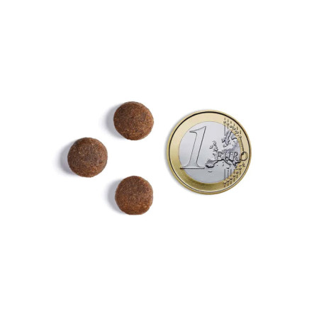 AMBROSIA DOG PUPPY LARGE CHICKEN & SALMON GF 12kg