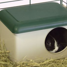 ΦΩΛΙΑ ΤΡΩΚΤΙΚΩΝ TIDRA 1