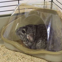 ΤΟΥΑΛΕΤΑ ΤΡΩΚΤΙΚΩΝ NORA 1C ME ΚΑΠΑΚΙ