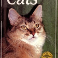 Βιβλία για Γάτες