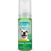 FRESH BREATH ΑΦΡΟΣ 133ml