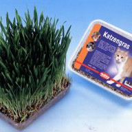 ΧΟΡΤΟ ΓΑΤΑΣ NOBBY 100gr