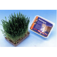 ΧΟΡΤΟ ΓΑΤΑΣ NOBBY 100gr