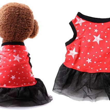 ΦΟΡΕΜΑΤΑΚΙ ΣΚΥΛΟΥ STARS SM 25cm