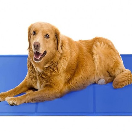 ΣΤΡΩΜΑΤΑΚΙ ΔΡΟΣΙΑΣ COOL MAT XLARGE 95*80cm