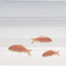 ΕΝΥΔΡΕΙΟ ΠΛΑΣΤΙΚΟ ΝΟ. 4