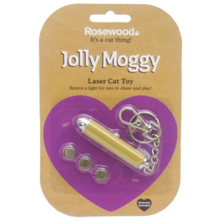 ΠΑΙΧΝΙΔΙ ΓΑΤΑΣ ΦΑΚΟΣ LASER