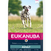 EUKANUBA ADULT LARGE BREEDS ΣΟΛΟΜΟΣ & ΚΡΙΘΑΡΙ 12kg