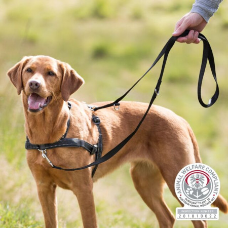 ΣΑΜΑΡΙ ΕΚΠΑΙΔΕΥΣΗΣ LEAD 'N' WALK M-L 55-90cm*25mm TRIXIE