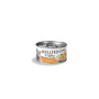 WELLFED CAT FILLETO PURE CHICKEN 70gr