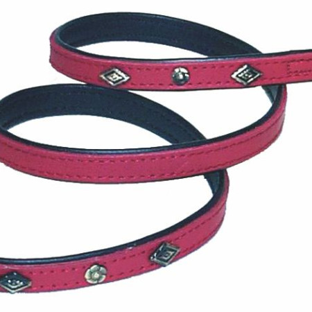 ΟΔΗΓΟΣ ΔΕΡΜ. TACHAS 20mm