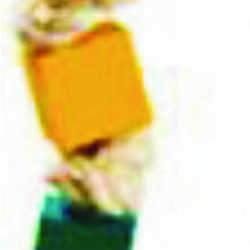 ΠΑΙΧΝΙΔΙ ΠΟΥΛΙΩΝ-ΠΑΠΑΓΑΛΩΝ ΜΕ ΞΥΛΙΝΑ ΚΥΒΑΚΙΑ ΚΑΙ ΚΑΜΠΑΝΑ 25cm