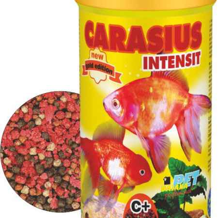 ΨΑΡ/ΦΗ DAJANA GARACIUS INTESIT 100ml