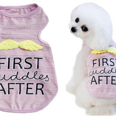 ΦΑΝΕΛΑΚΙ ΣΚΥΛΟΥ-ΓΑΤΑΣ FIRST CUDDLES AFTER LG 30cm