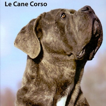 ΒΙΒΛΙΟ ΕΛΛΗΝΙΚΟ ΚΑΝΕ ΚΟΡΣΟ