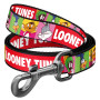 ΟΔΗΓΟΣ LOONEY 2 MD 20mm*122cm WAUDOG