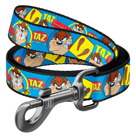 ΟΔΗΓΟΣ TAZ MD 20mm*122cm WAUDOG