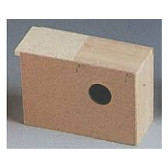 ΠΑΠΑΓΑΛΟΦΩΛΙΑ ΜΙΚΡΗ Νο1