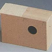 ΠΑΠΑΓΑΛΟΦΩΛΙΑ Α'Νο 2