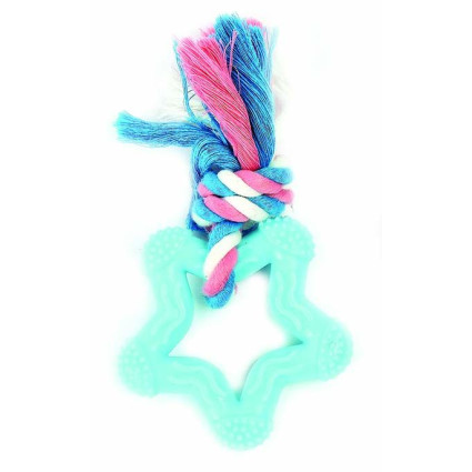 ΠΑΙΧΝΙΔΙ ΣΚΥΛΟΥ ΑΣΤΕΡΙ ΜΕ ΚΟΜΠΟ ΓΙΑ ΤΑ ΔΟΝΤΙΑ