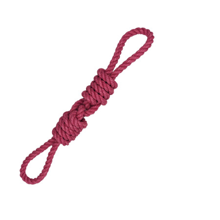 ΠΑΙΧΝΙΔΙ ΣΚΥΛΟΥ ΚΟΜΠΟΣ ΑΠΟ ΣΧΟΙΝΙ ΜΕ 2 ΛΑΒΕΣ ΚΑΙ ΓΕΥΣΗ BACON 47cm PET INTEREST