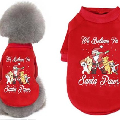 ΦΟΥΤΕΡ ΣΚΥΛΟΥ BELIEVE IN SANTA MEDIUM 25cm