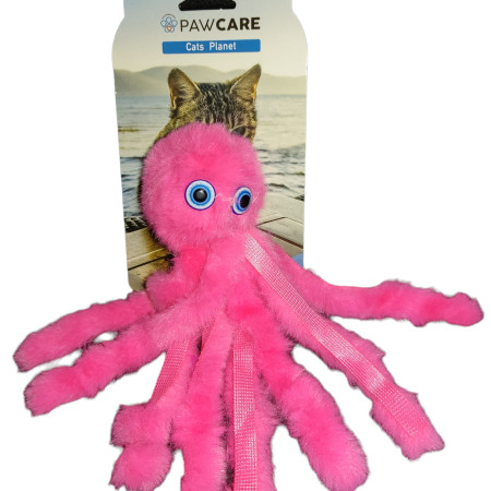 ΠΑΙΧΝΙΔΙ ΓΑΤΑΣ ΛΟΥΤΡΙΝΟ ΧΤΑΠΟΔΑΚΙ 20cm PAW CARE