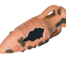 ΔΙΑΚ.ΑΜΦΟΡΕΑΣ ΑΙΓΥΠΤ.ΜΕ ΑΛΓΗ 40 ΕΚ.