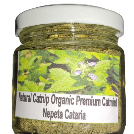 ΦΥΣΙΚΟ CATNIP ORGANIC PREMIUM CATMINT 10gr