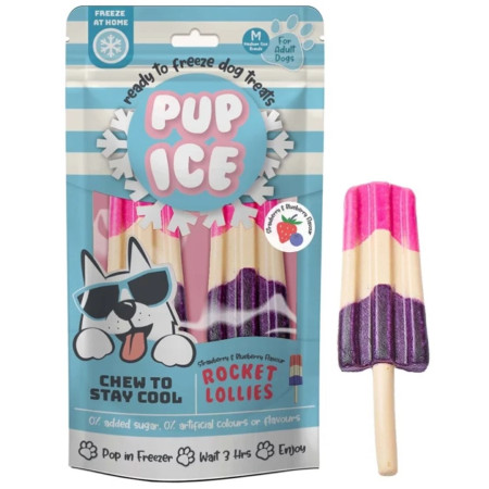 PUP ICE ΠΑΓΩΤΟ ΜΕ ΓΕΥΣΗ ΦΡΑΟΥΛΑ & ΒΑΤΟΜΟΥΡΟ 2τμχ 90gr