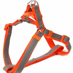 ΣΑΜΑΡΑΚΙ REFLECTIVE XSMALL 1cm*15-35cm