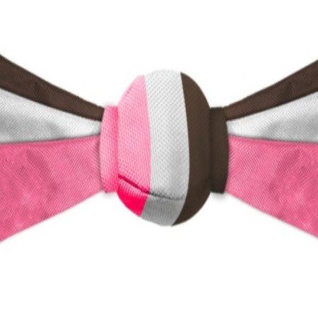 ΠΑΙΧΝΙΔΙ ΣΚΥΛΟΥ BOOMERANG ΡΟΖ ΜΕ ΜΠΑΛΑΚΙ TENNIS 32cm