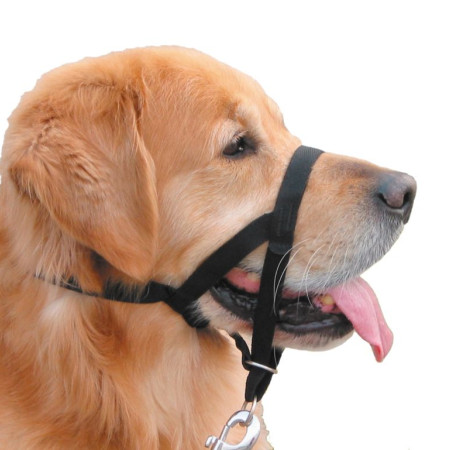 EASY LEADER ΠΕΡΙΣΤΟΜΙΟ ΕΚΠ/ΣΗΣ No2 NOBBY